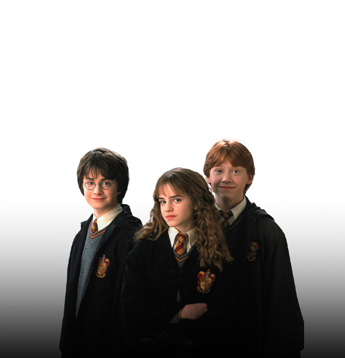 «Harry Potter and wizards of Tynda Music»