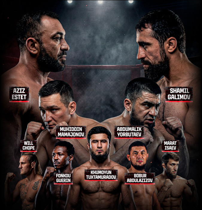 Кулачные бои