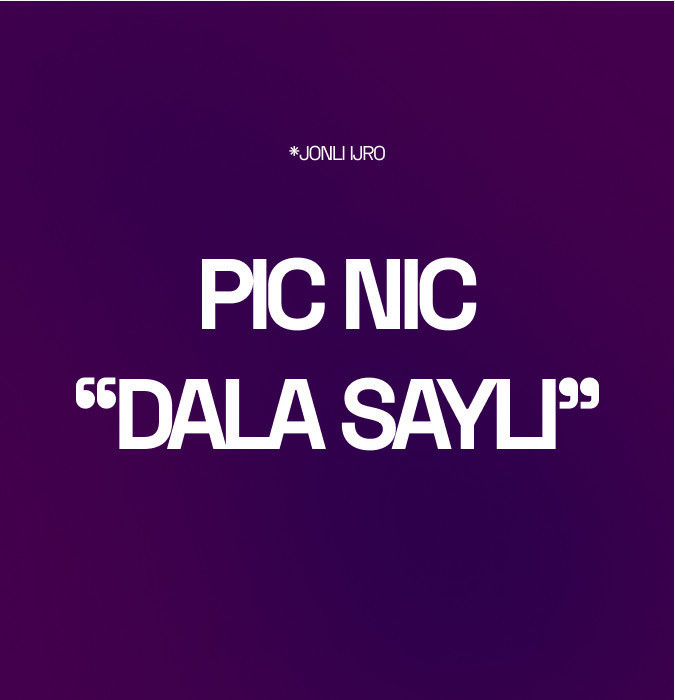 PIC NIC  "Dala sayli"