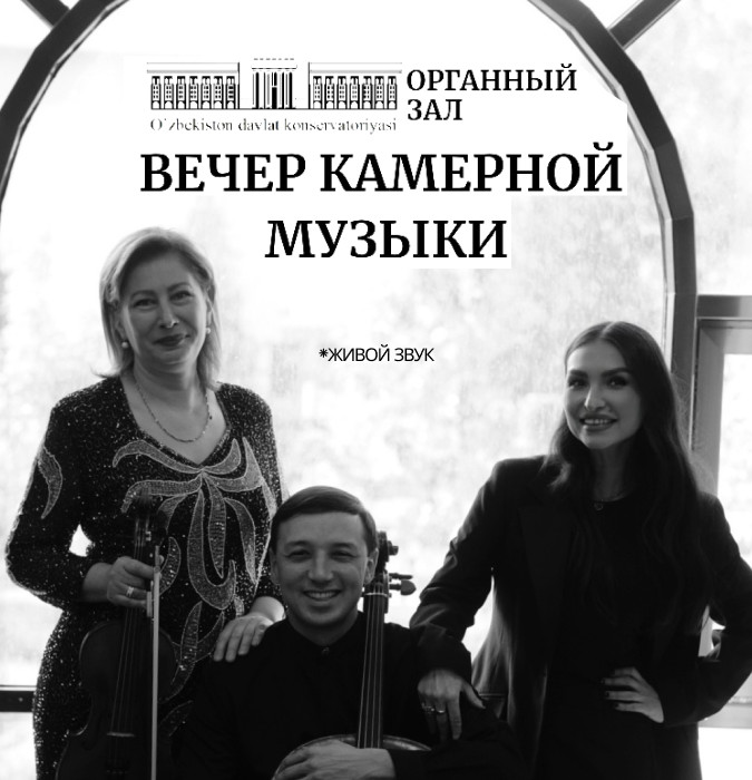 Концерт камерной музыки