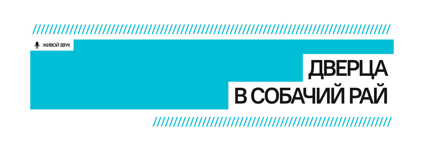 Дверца в собачий рай (премьера)