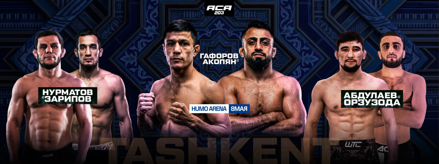 MMA ACA 203