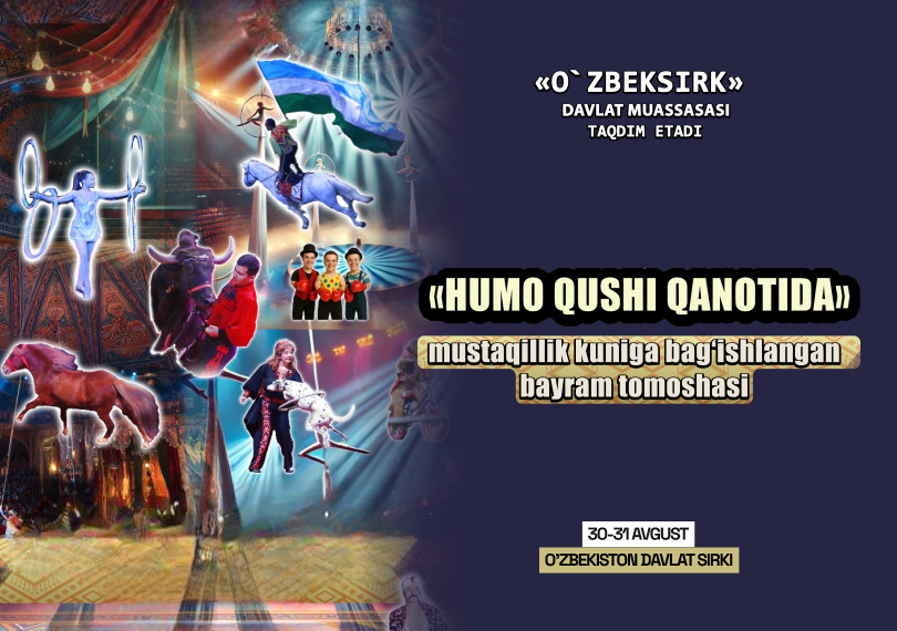Humo Qushi Qanotida