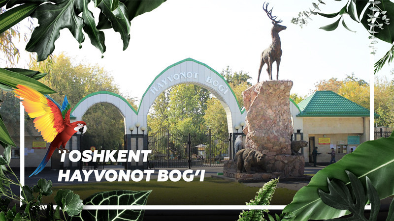 Tashkent Zoo