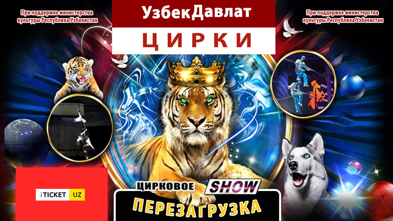 Цирк "Перезагрузка"