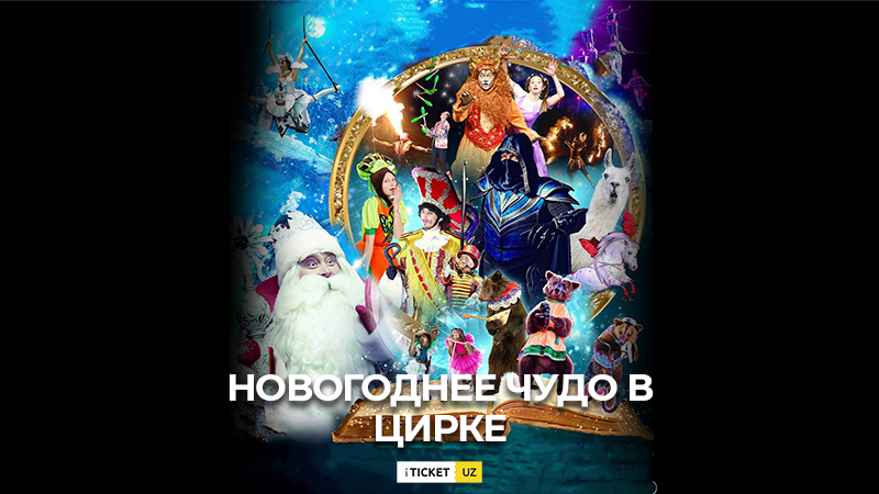 Новогоднее Чудо в Цирке