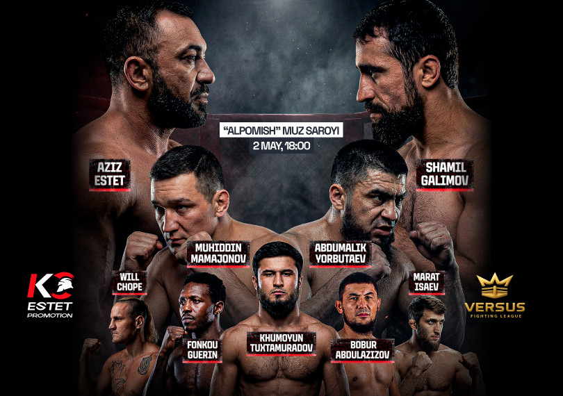 Кулачные бои