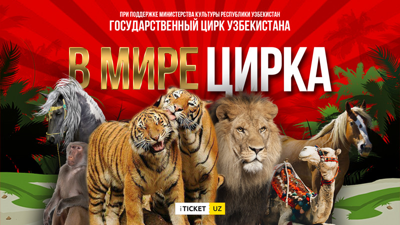 "В Мире Цирка"