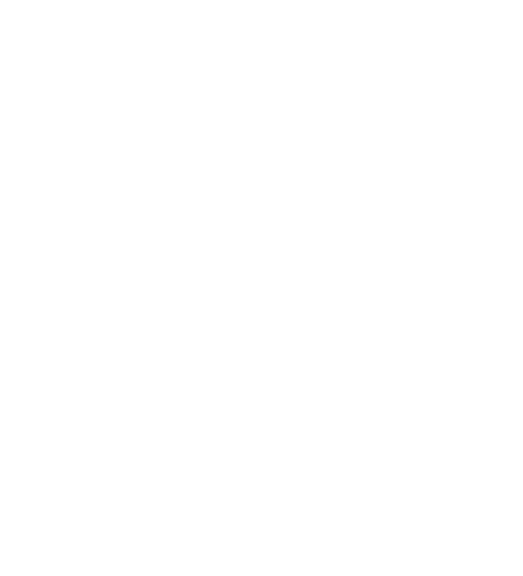 Ж. Бизе «Искатели Жемчуга» опера