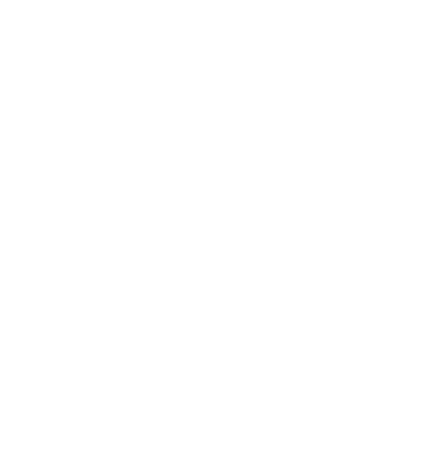 Лебединое Озеро