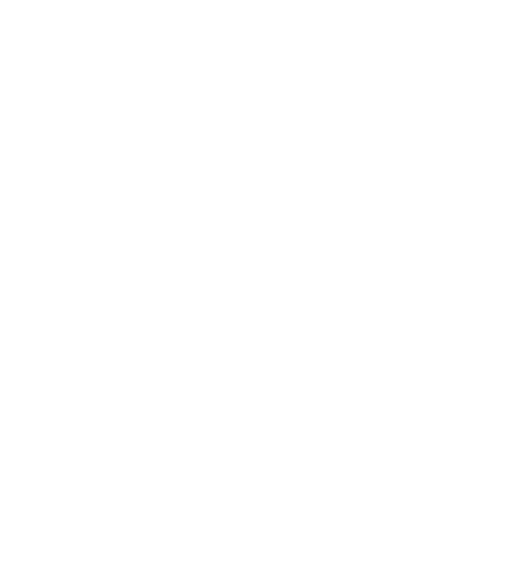 “Turkiston bolalari”
