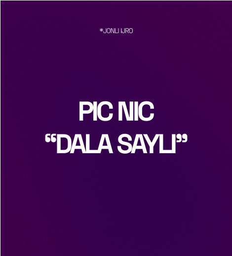 PIC NIC  "Dala sayli"