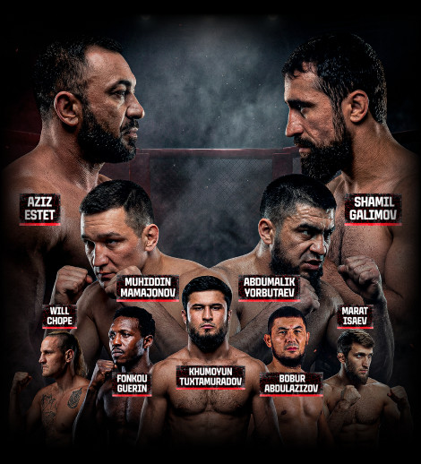 Кулачные бои