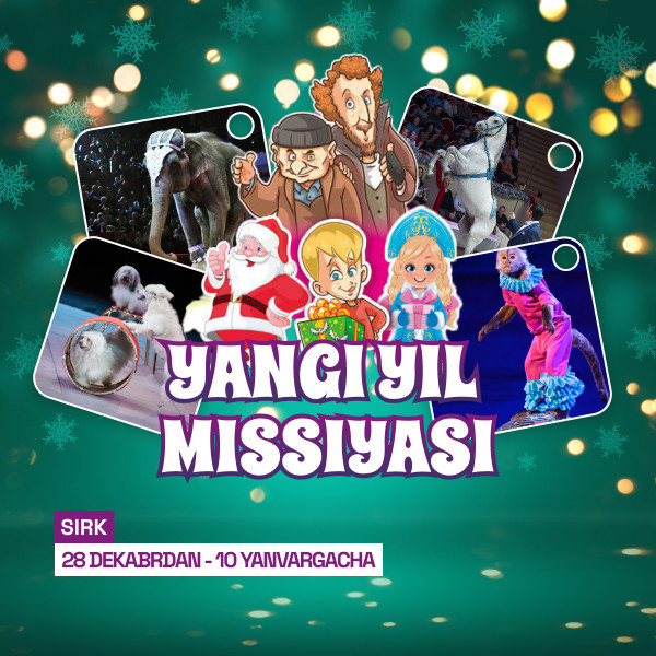 Yangi Yil Missiyasi