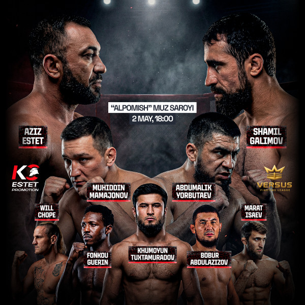 Кулачные бои